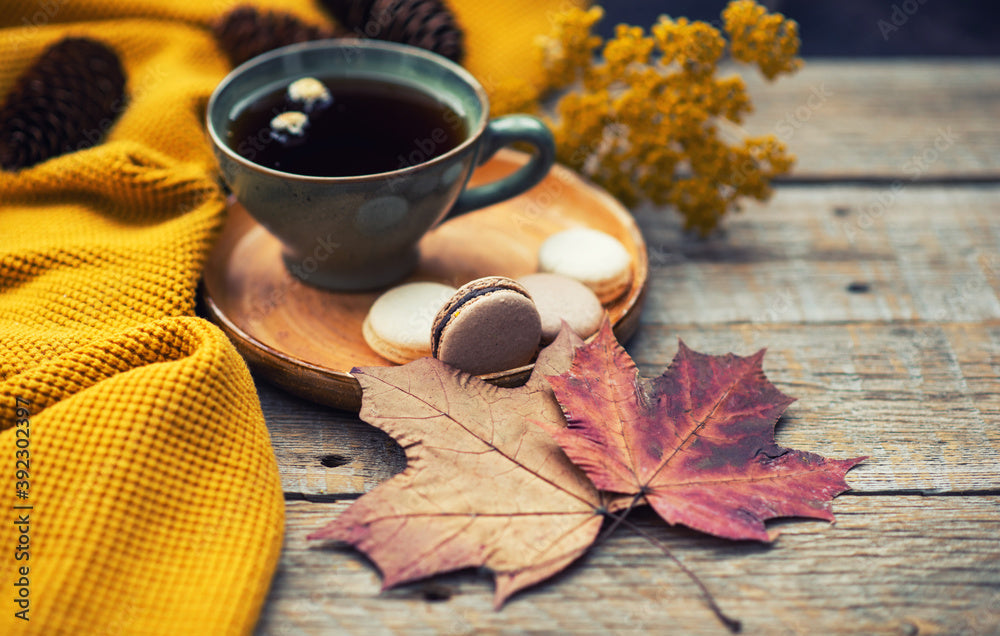 Root to Rise: Autumn Herbal Rituals for Grounding & Immune Support