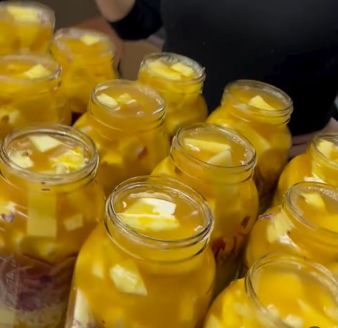 The Morning I Met Fire Cider (And Why We’ve Been Friends Ever Since)