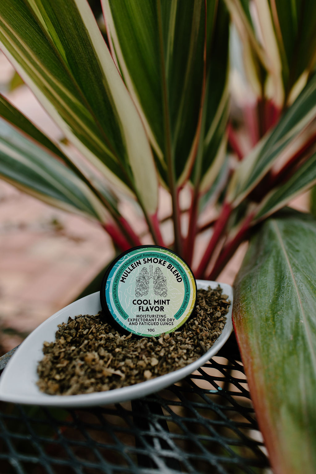 Smoking Mullein - Original